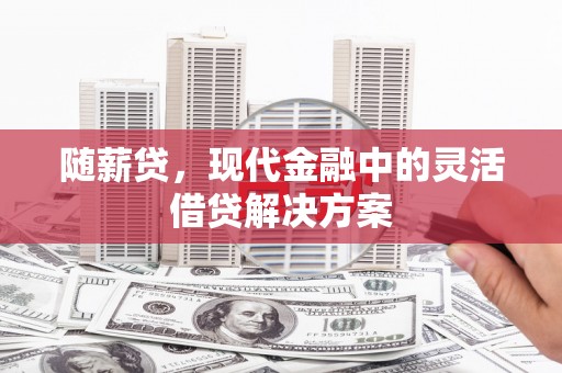 鹤庆随薪贷，现代金融中的灵活借贷解决方案