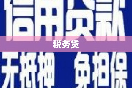 鹤庆税务贷