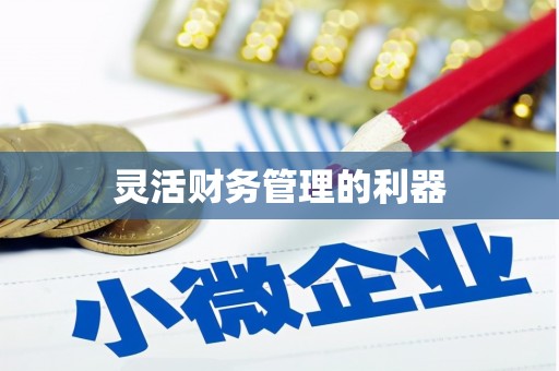 鹤庆灵活财务管理的利器