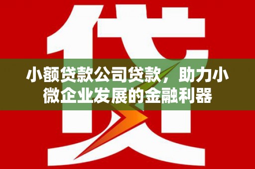 鹤庆小额贷款公司贷款，助力小微企业发展的金融利器