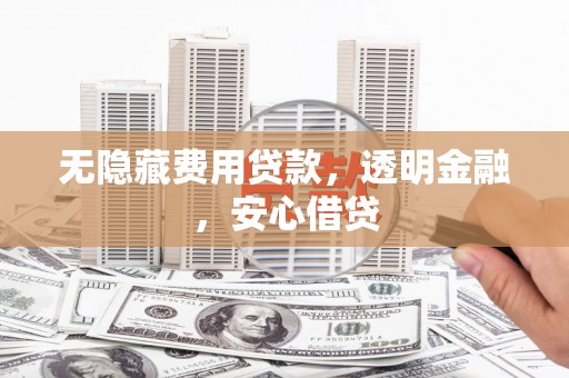 鹤庆无隐藏费用贷款，透明金融，安心借贷