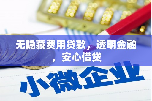 鹤庆无隐藏费用贷款，透明金融，安心借贷