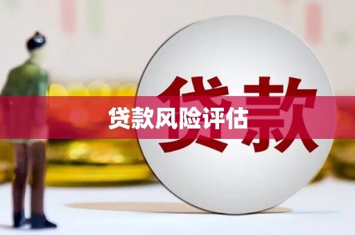 鹤庆贷款风险评估