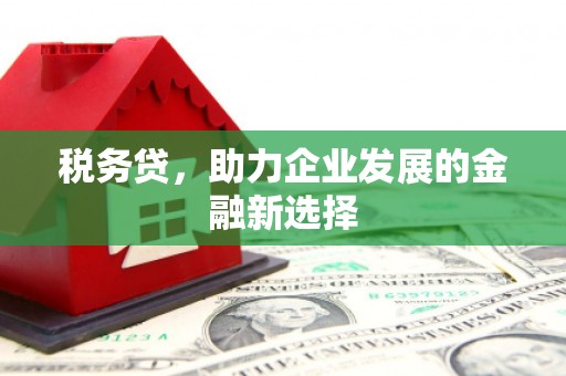 鹤庆税务贷，助力企业发展的金融新选择