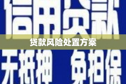 鹤庆贷款风险处置方案