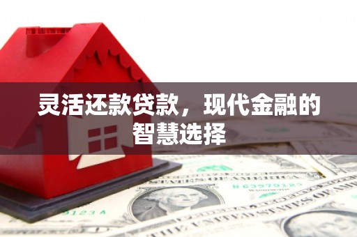 鹤庆灵活还款贷款，现代金融的智慧选择