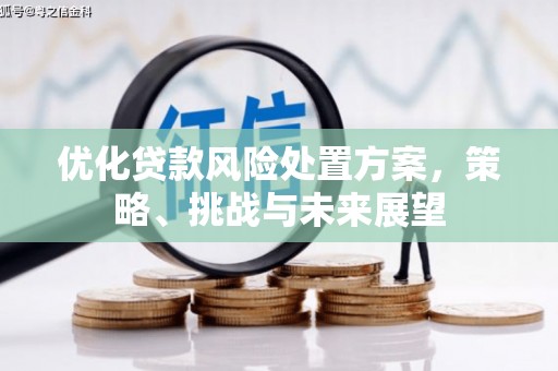鹤庆优化贷款风险处置方案，策略、挑战与未来展望