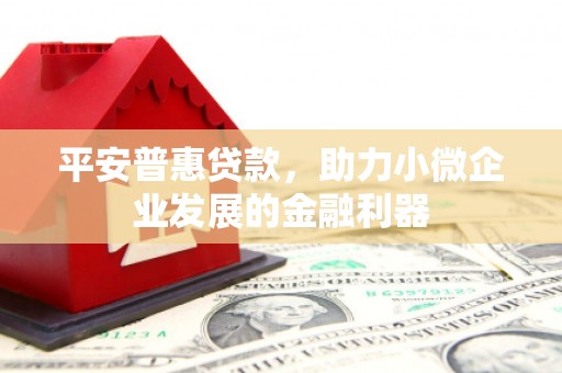 鹤庆平安普惠贷款，助力小微企业发展的金融利器
