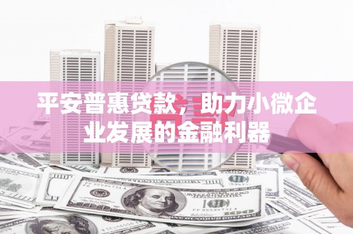 鹤庆平安普惠贷款，助力小微企业发展的金融利器