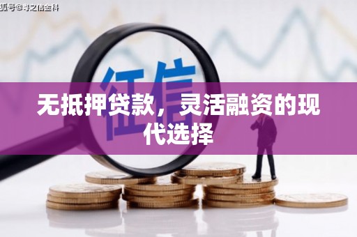 鹤庆无抵押贷款，灵活融资的现代选择
