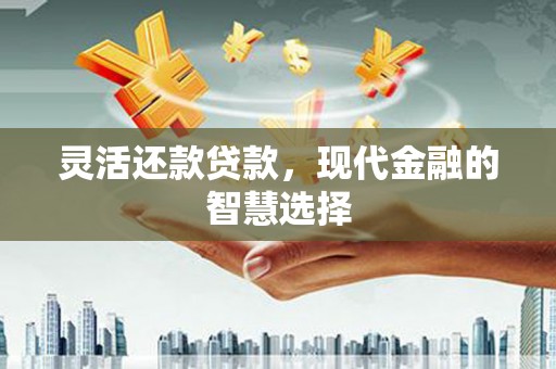 鹤庆灵活还款贷款，现代金融的智慧选择