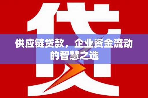 鹤庆供应链贷款，企业资金流动的智慧之选