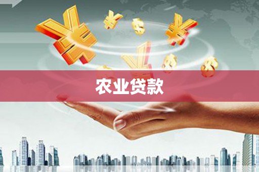 鹤庆农业贷款