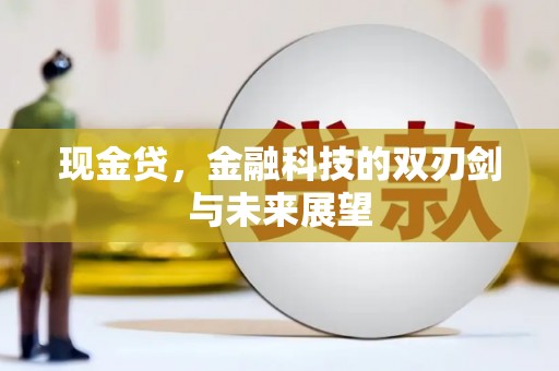 鹤庆现金贷，金融科技的双刃剑与未来展望