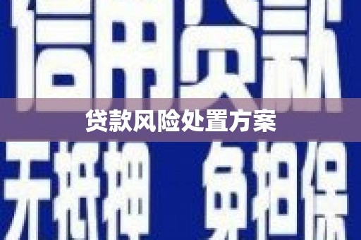 鹤庆贷款风险处置方案
