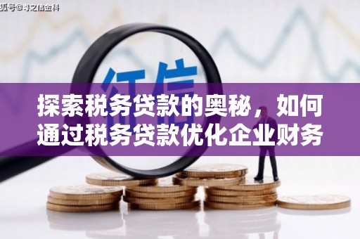 鹤庆探索税务贷款的奥秘，如何通过税务贷款优化企业财务