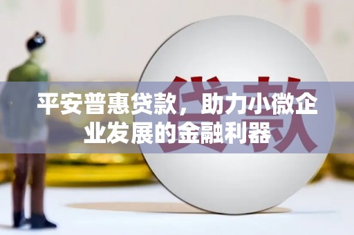 鹤庆平安普惠贷款，助力小微企业发展的金融利器