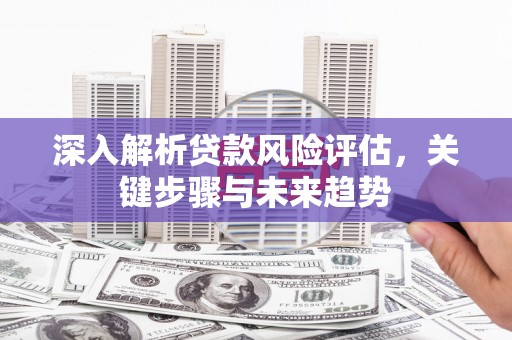 鹤庆深入解析贷款风险评估，关键步骤与未来趋势