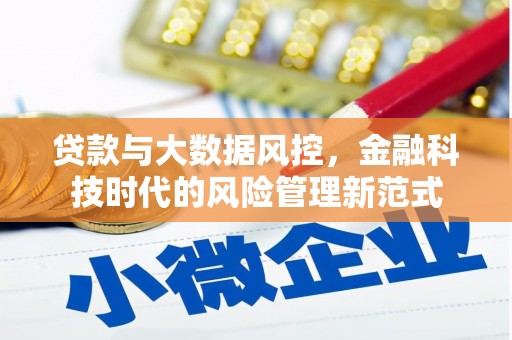 鹤庆贷款与大数据风控，金融科技时代的风险管理新范式
