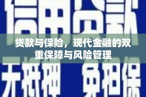 鹤庆贷款与保险，现代金融的双重保障与风险管理