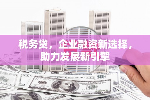 鹤庆税务贷，企业融资新选择，助力发展新引擎