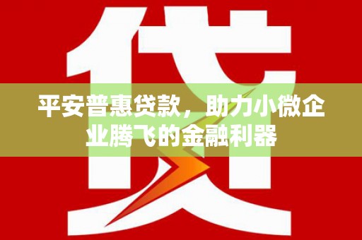 鹤庆平安普惠贷款，助力小微企业腾飞的金融利器