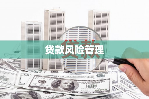 鹤庆贷款风险管理