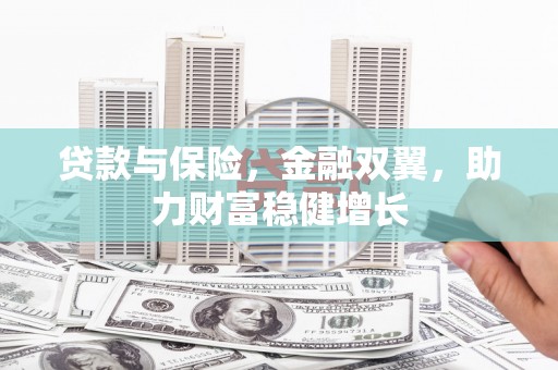 鹤庆贷款与保险，金融双翼，助力财富稳健增长