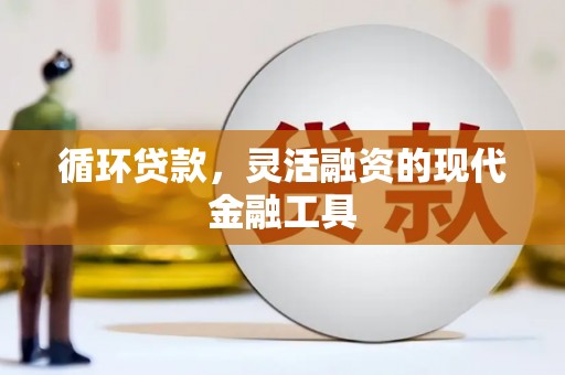 鹤庆循环贷款，灵活融资的现代金融工具