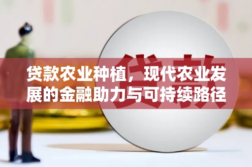 鹤庆贷款农业种植，现代农业发展的金融助力与可持续路径