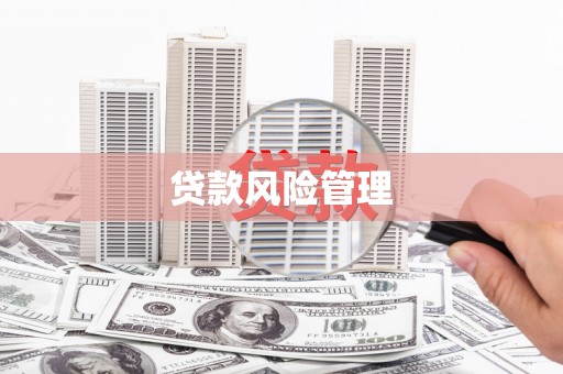 鹤庆贷款风险管理