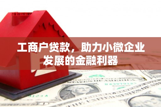 鹤庆工商户贷款，助力小微企业发展的金融利器