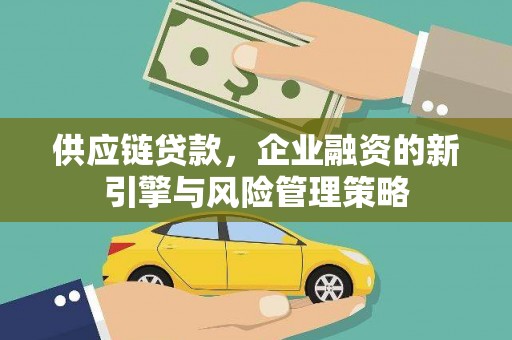 鹤庆供应链贷款，企业融资的新引擎与风险管理策略