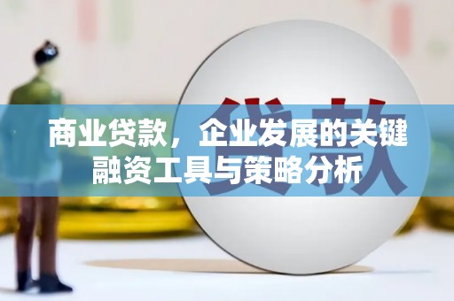 鹤庆商业贷款，企业发展的关键融资工具与策略分析
