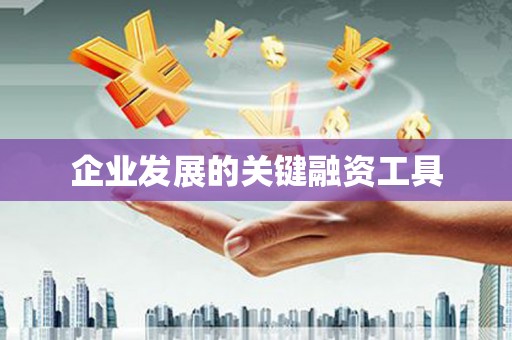 鹤庆企业发展的关键融资工具