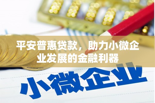鹤庆平安普惠贷款，助力小微企业发展的金融利器