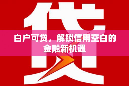 鹤庆白户可贷，解锁信用空白的金融新机遇