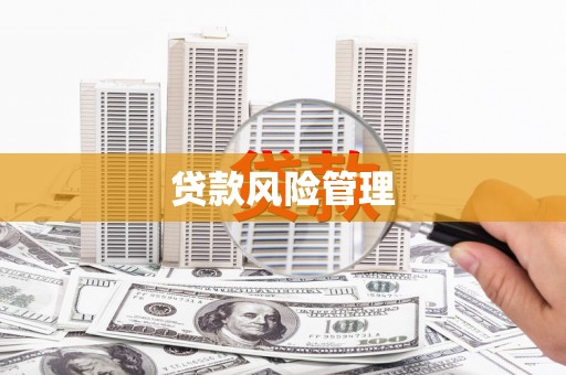 鹤庆贷款风险管理