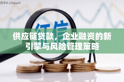鹤庆供应链贷款，企业融资的新引擎与风险管理策略