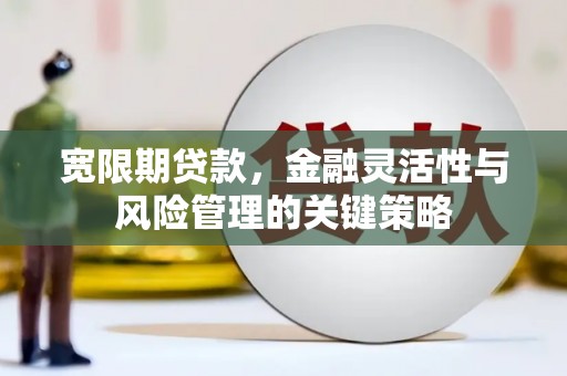鹤庆宽限期贷款，金融灵活性与风险管理的关键策略