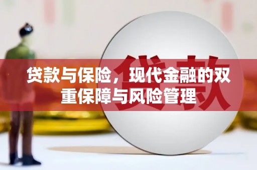 鹤庆贷款与保险，现代金融的双重保障与风险管理