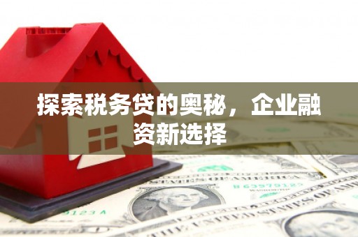鹤庆探索税务贷的奥秘，企业融资新选择