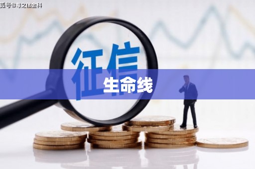 鹤庆生命线