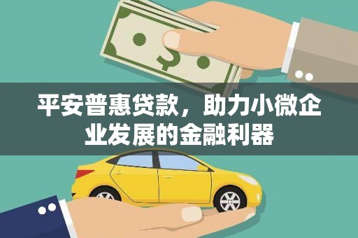 鹤庆平安普惠贷款，助力小微企业发展的金融利器