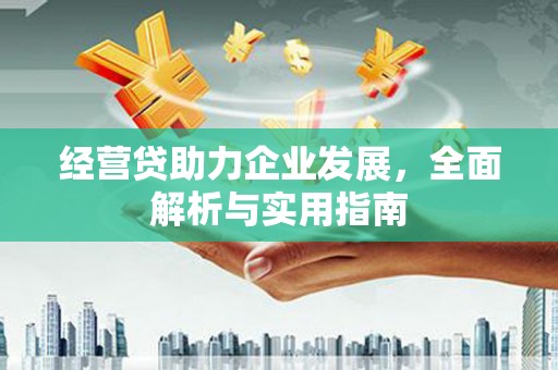 鹤庆经营贷助力企业发展，全面解析与实用指南
