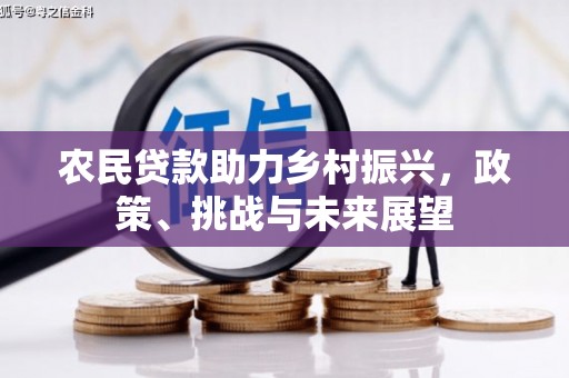 鹤庆农民贷款助力乡村振兴，政策、挑战与未来展望