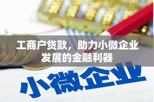 鹤庆工商户贷款，助力小微企业发展的金融利器