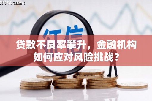鹤庆贷款不良率攀升，金融机构如何应对风险挑战？