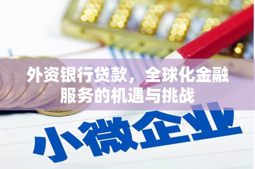 鹤庆外资银行贷款，全球化金融服务的机遇与挑战