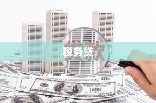 鹤庆税务贷